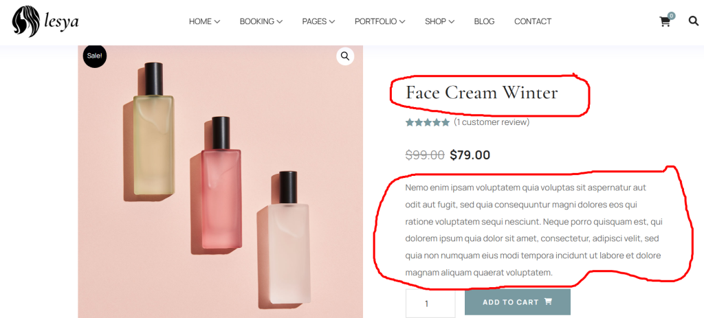 Product Description of an Online Store